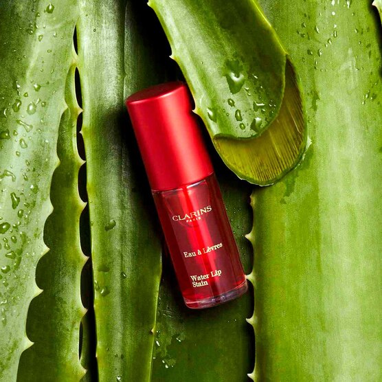 CLARINS    GLOSS COULEUR GLOS 1